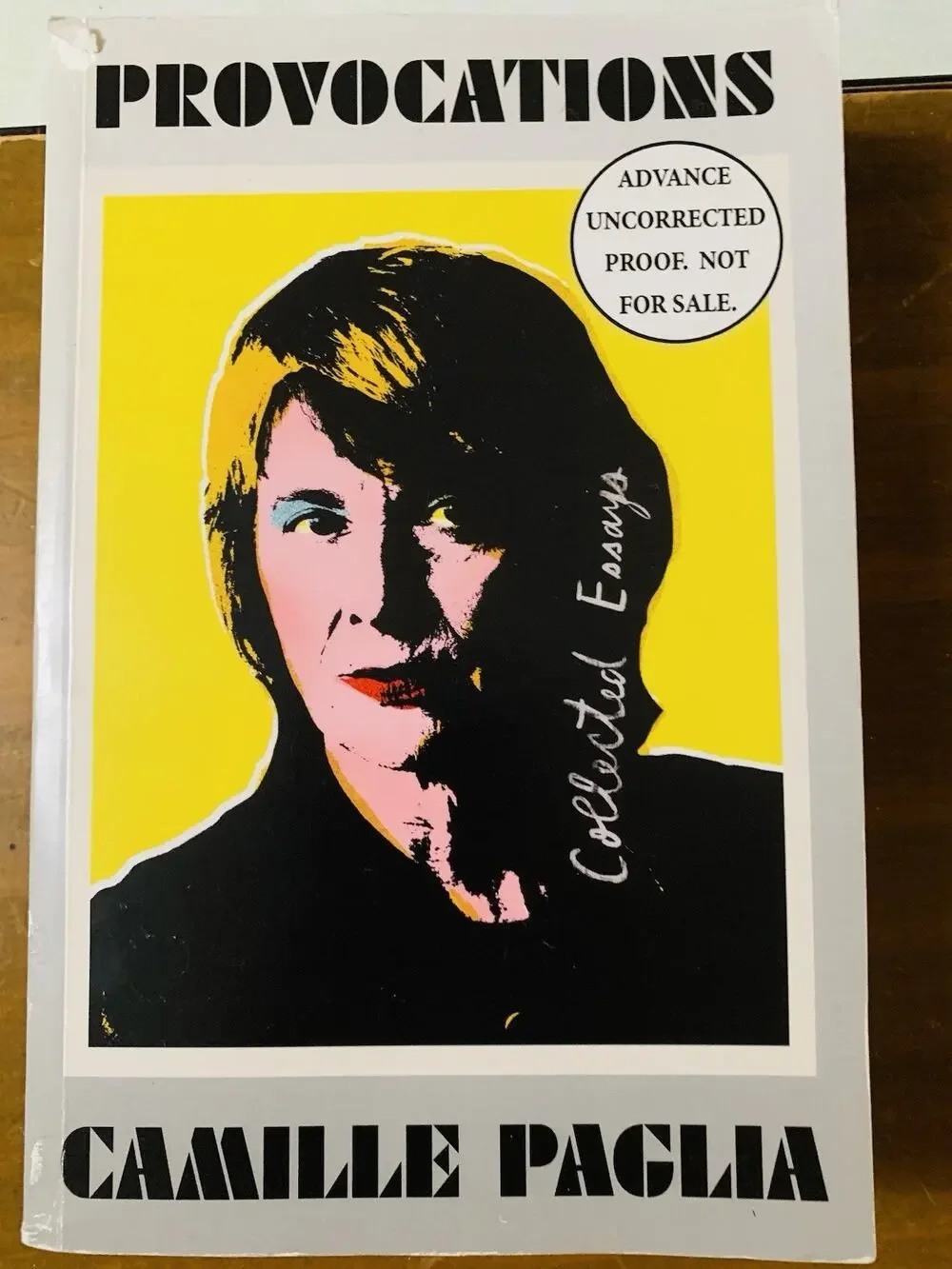Provocations: Collected Essays on Art Advance Uncorrected Proof 2018 Plagia